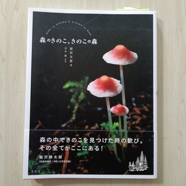 森のきのこ、きのこの森 新井文彦/著 白水貴/監修