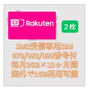 【2枚セット】楽天 月3GB高速データSMS受信認証可 N+12ヶ月