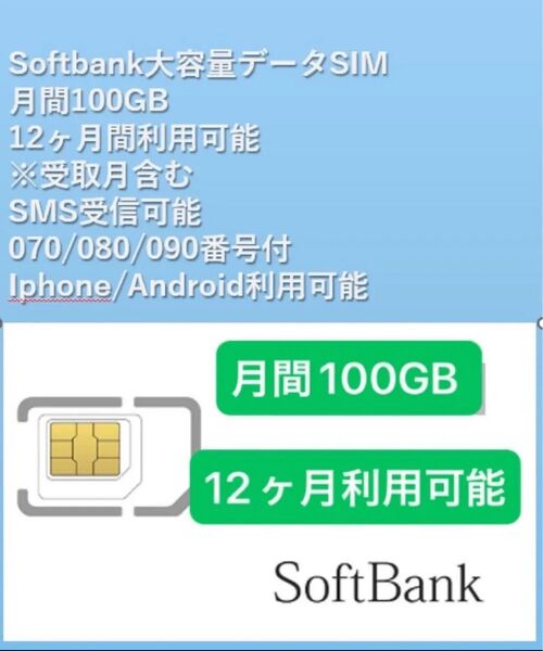 Softbank純正ネットワーク:月間データ100GB+SMS認証可能利用可能期間:受取日から~一年間12ヶ月利用可能