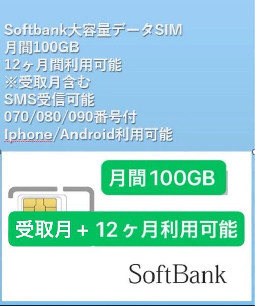 Softbank純正 月間データ100GB + SMS認証可能利用可能期間:受取日から~一年間12ヶ月利用可能