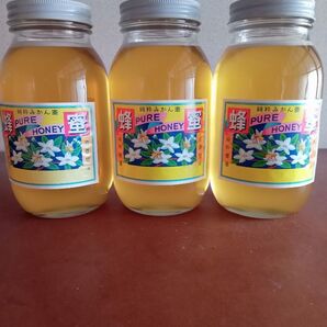 国産みかん蜂蜜1200g×3