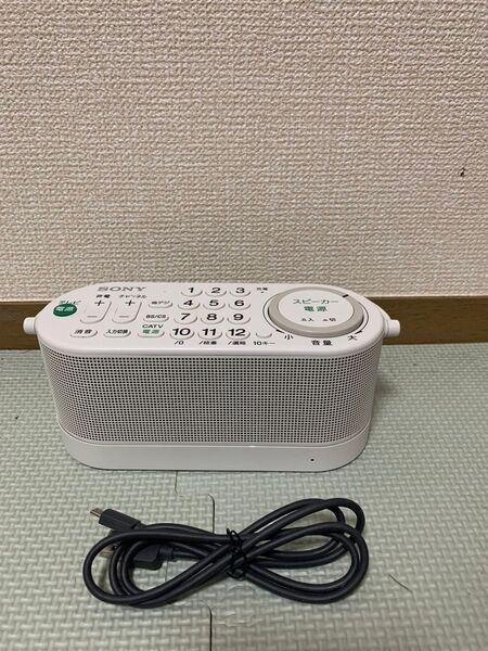 SONY SRS-LSR100 パーソナルオーディオシステム