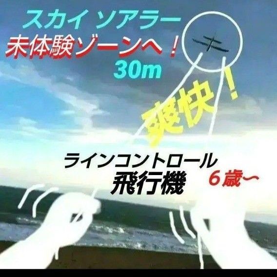お試し価格 航空機模型 スカイソアラー 01 ラジコン 風 グライダー スカイスポーツ カイト 凧