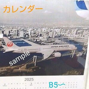 2025 JAL 航空機模型 787−9 カレンダー TOKYO 1枚タイプ