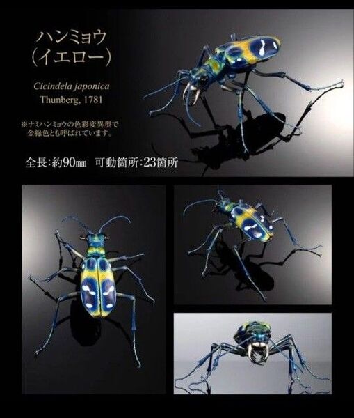 いきもの大図鑑アドバンス ハンミョウ(イエロー)