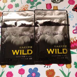 やずや にんにく卵黄WILD 2袋 すっぽん 亜鉛 マカ