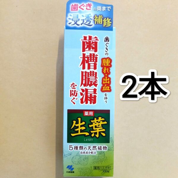 小林製薬 薬用生葉 100g × 2本