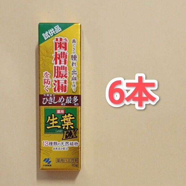小林製薬 薬用生葉EX 10g × 6本