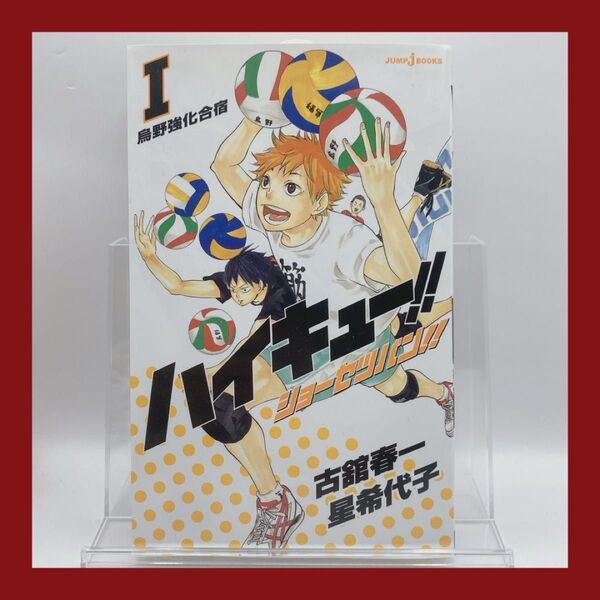 ハイキュー!! ショーセツバン!! 古舘春一 烏野強化合宿 小説 新品 烏野高校 日向翔陽 影山飛雄 ノベライズ