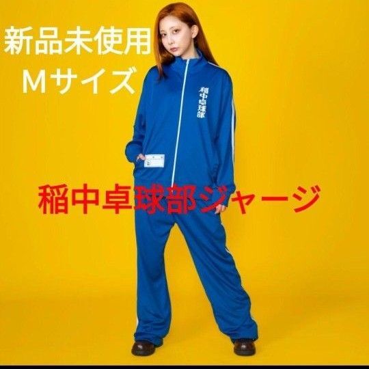 行け!稲中卓球部 Mサイズ 上下セット ジャージ 稲中 墓場の画廊