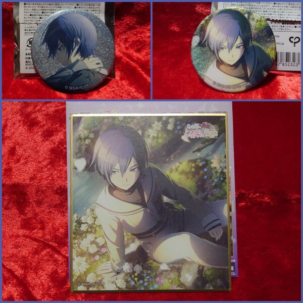 プロセカ KAITO ミニ色紙 グリ缶 ニーゴ