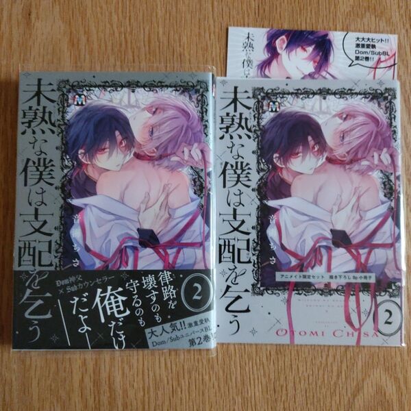 「未熟な僕は支配を乞う 」音海ちさ 2巻 アニメイト