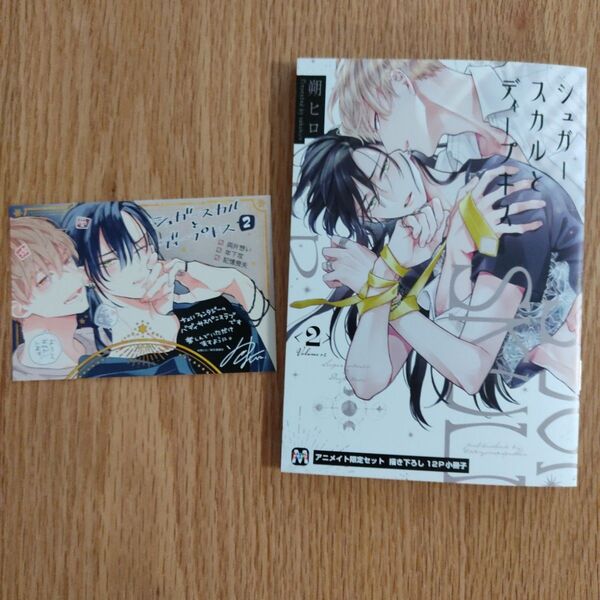 特典のみ「シュガースカルとディープキス」2巻朔ヒロアニメイト有償特典小冊子