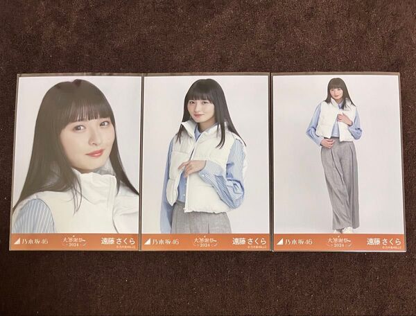 乃木坂46 遠藤さくら 生写真 ダウンベスト 大感謝祭 コンプ