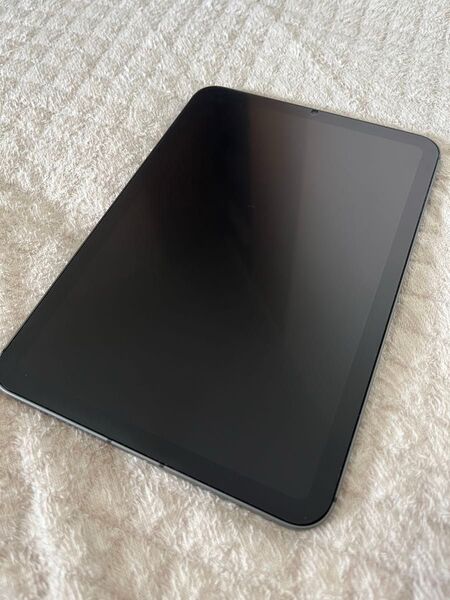 applecare+付 ipad mini6 cellular 第6世代 64GB 海外版 技適