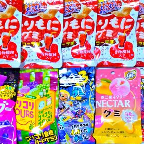 訳あり!お買い得! グミ いろいろ 10袋 詰め合わせ