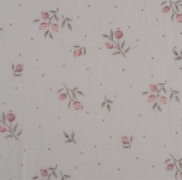 フランス生地 sous le figuier fabrics グーズベリー 1m