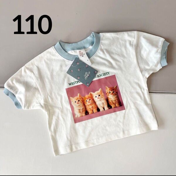 しまむら ミコリッド micorrid ソフトチーズ soft cheese 猫 ホワイト 白 リンガー Tシャツ 110cm