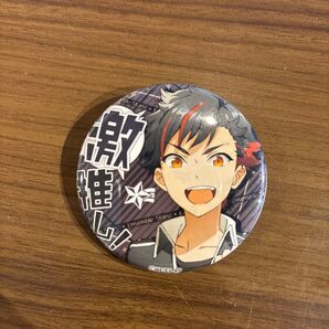 あんさんぶるスターズ!! 瀬名泉 缶バッジ