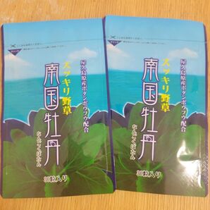 南国牡丹 2袋 野草酵素