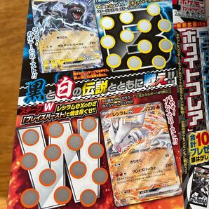 コロコロ 6月号 銀はがし ハガキ 2025