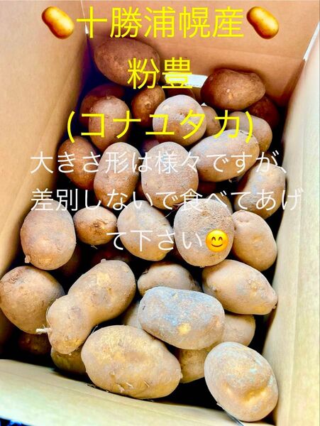みんなに食されて40年 雪夏稚(せっかち)くんのじゃがいも20kg コナユタカ