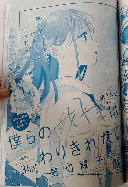 僕らの好きはわりきれない 14