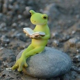 カエルさん 石に座って読書 置物