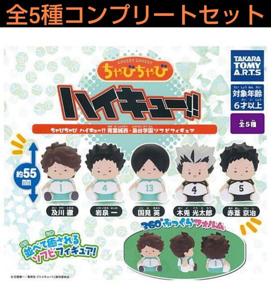 ちゃびちゃびハイキュー青葉城西・梟谷学園ソフビフィギュア 全5種コンプリートセット