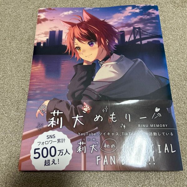 莉犬めもりー RINU MEMORY 公式ファンブック