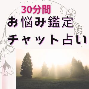 チャット30分お悩み鑑定 出会い 片思い 復縁 不倫 仕事 人間関係 占い放題