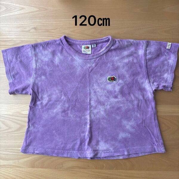 半袖Tシャツ トップス カットソー FRUIT OF THE LOOM 120㎝ 子ども服 夏服