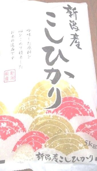 新潟県産 こしひかり 5㎏ 精米 ブランド米