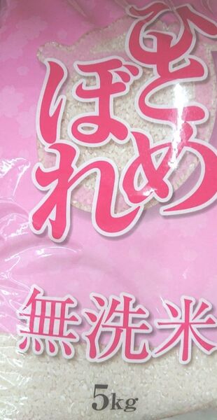 無洗米 岩手県産 ひとめぼれ 5㎏×2袋 計10㎏ 精米 純情産地 ブランド米 環境エコ 時短