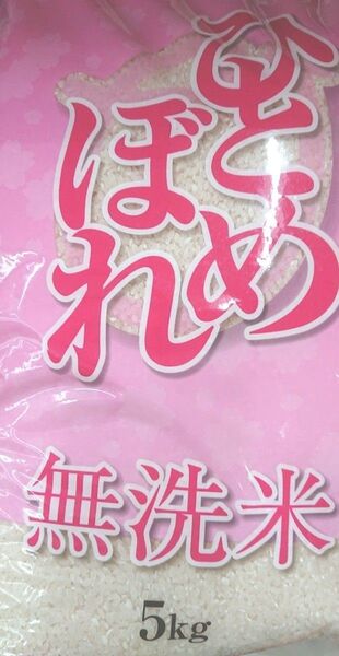 無洗米 岩手県産 ひとめぼれ 5㎏ 精米 純情産地 ブランド米 環境エコ 時短