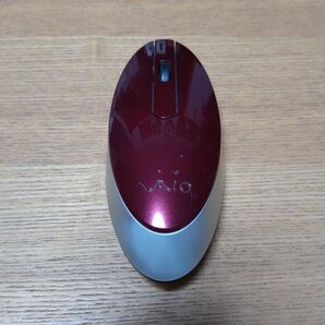 VGP-BMS33