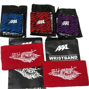 【新品】AAA トリプルエー ライブグッズ 2008 リストバンド Buzz シュシュ a-nation キラキラヘアゴム アクセ