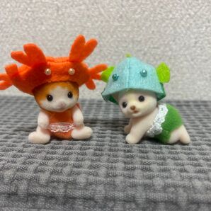 未使用美品 アクアパレード チワワ メイプルネコ 赤ちゃん