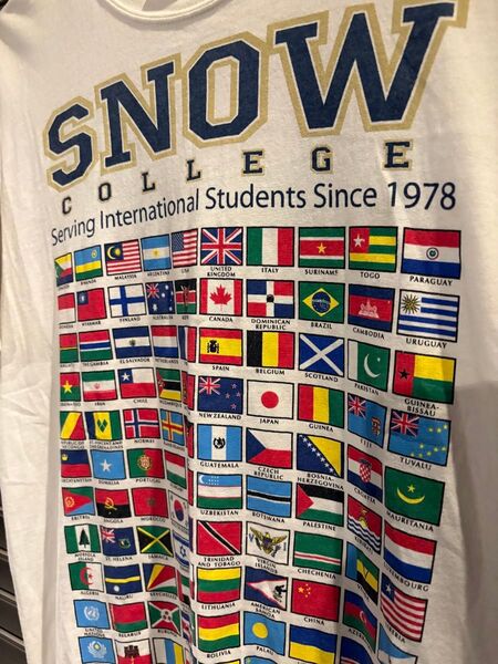 SNOW COLLEGE 国旗柄Tシャツ ギルダン 白 ホワイト 古着 ヴィンテージ ビンテージ 90s カレッジ フラッグ