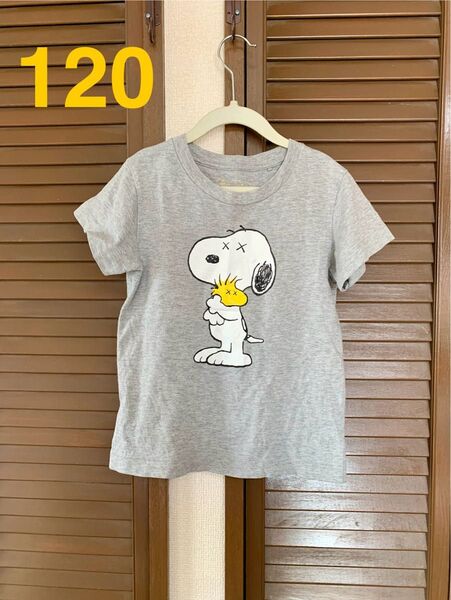 ユニクロ SNOOPY UNIQLO 120 キッズ 半袖 スヌーピー コラボ グレー Tシャツ
