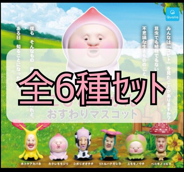 【新品未開封】こびとづかん おすわりマスコット 全6種セット