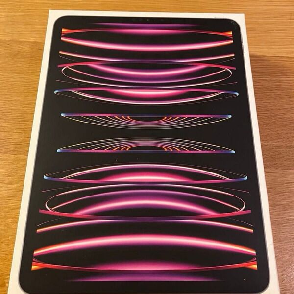 Apple iPad Pro 11インチ Wi-Fi 第4世代 M2