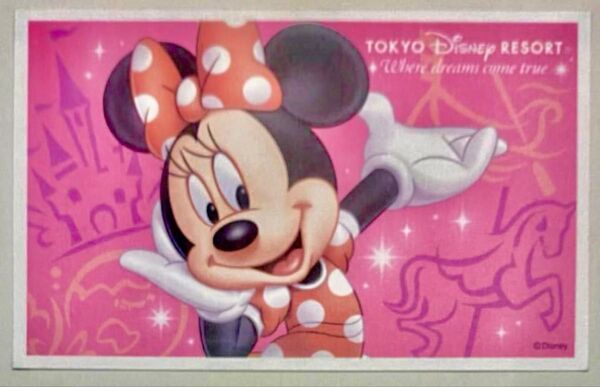 【送料無料】ディズニー パスポート チケット 東京ディズニーリゾート 1枚