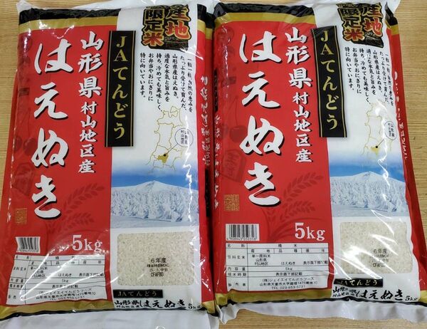 山形県産 はえぬき 5kg×2袋 令和6年産