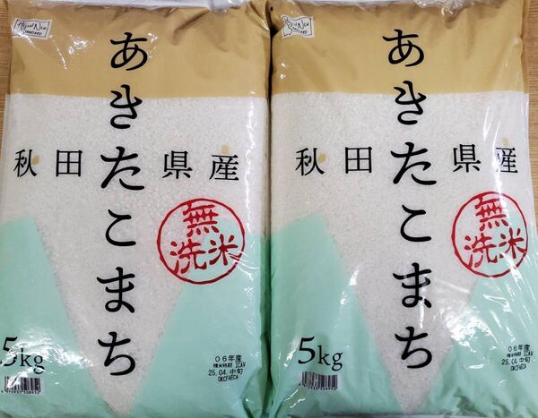 秋田県産 あきたこまち 5kg×2袋 令和6年産 無洗米
