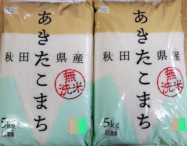 秋田県産 あきたこまち 5kg×2袋 令和6年産 無洗米