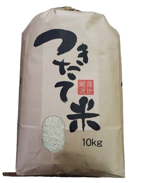 つきたて米 精米10kg (玄米約11kg使用) 限定品 お米 訳あり