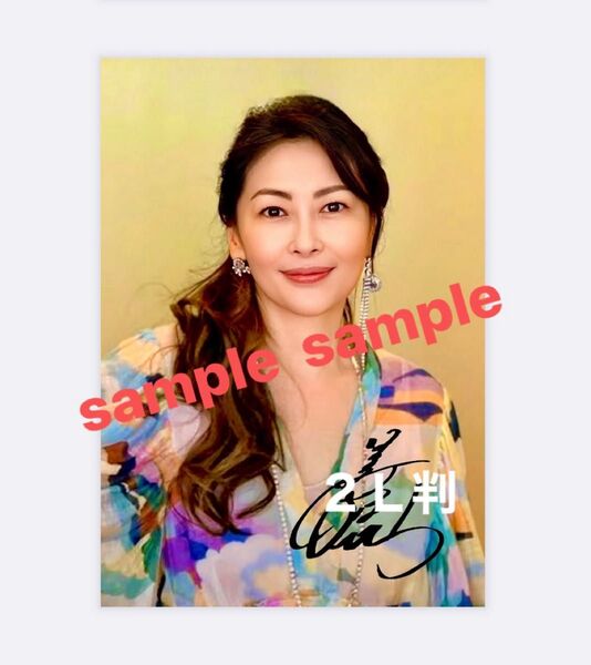 中山美穂写真 2L判