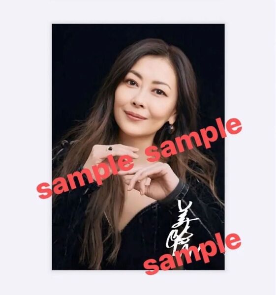 中山美穂写真 2L判