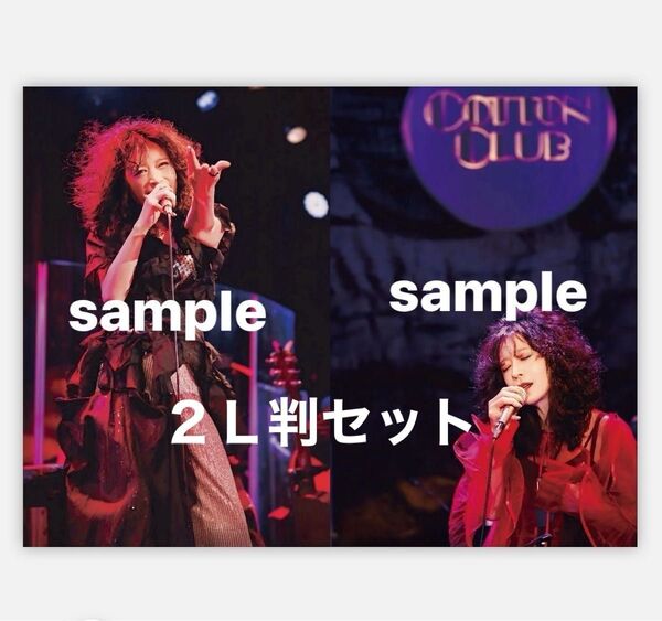中森明菜写真 2L判2枚セット